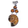 Hänge halsband kft naturlig ammonit snigel reliquiae med 3 små runda cabochon pärlor sten kvinnor män smycken
