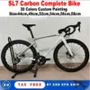 카멜레온 새로운 SL7 카본 완전 자전거 자전거 디스크 브레이크 레이싱로드 자전거 호환 DI2 그룹 ACE 6 볼트 센터 잠금 휠 세트