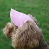 Abbigliamento per cani Cappello per animali domestici con fori per le orecchie Berretto da baseball carino per cani di taglia media e grande Prodotti per escursioni all'aperto per il sole estivo