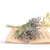 الزهور الزخرفية 5pcs/مجموعة النبات الاصطناعي الأوكالبتوس يترك المال ورقة صغيرة حفنة عقد زفاف المنزل الزفاف
