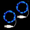 Corde 2pcs USB Led Stringa di filo di rame Luce leggiadramente Ghirlande Lampione da esterno per albero di Natale Giardino Decorazione di nozze fai da te