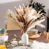 Decorative Flowers Natural Dried Pampa Grass Bouquet Boho Home Decor Phragmites For Room Wedding Ramadan Decoration