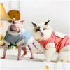 Trajes de gato Autumn Winter Sfynx Roupas Cashmere Mantenha o casaco quente para puplo de cachorro clássico Cats Cats Droga Droga Droga DHHNQD