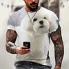 Heren t shirts persoonlijkheid 3D print hond dier t-shirt mannen/vrouwen schattige kleding jonge zomer mode korte mouw mannen oversized shirt 6xl