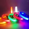 Colliers pour chiens Collier lumineux LED Clignotant Clignotant Réglable USB Rechargeable Pet Safety Night Anti-Lost Light Neck