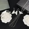 Designer Tassel Necklaces Bracelet Ear Stud For Womens Luxury Silver Metal Chain Bangle Fashion Wedding Love Luxurious Jewelry Set 2301053QS