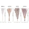 Flores decorativas 80pcs pampas grama fleurs sechees phragmites reed cenas de buquê seco decoração de festa de casamento decorações de natal