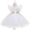 Robe fille robe princesse pour bébé manche en dentelle de dentelle élégante fille formelle soirée de soirée pour enfants 1 à 5 ans