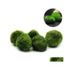 Dekorasyonlar 5pcs Marimo Moss Ball Akvaryum Bitkileri Terrarium Cladophora Balık Tank Süsleri Teslimat Ev Bahçe Evcil Hayvan Malzemeleri Dhjiz