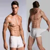 Underpants 5pcs Travel Men Boxer Shorts Man Briefs de calcinha masculina Algodão para casal