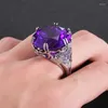 Fedi nuziali Anello rotondo in pietra con zirconi cubici per donna Uomo Viola bianco con micro cristalli Gioielli in argento per feste