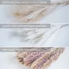 Decorative Objects Figurines 30pcs Dried Flower Nature Fluffy Pampas Grass for Wedding Party Decoration Bunny Rabbit Tail Reeds Home Decor 230104