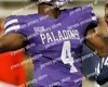 American College Football Wear Thr NCAA College Jerseys Furman Paladins 25 Carson Maples 32 Devin Abrams 83 Ryan Deluca 82 Ryan Miller 89 Thomas Gordon Custombal