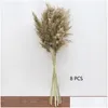 Couronnes De Fleurs Décoratives 8/10 / 20Pcs Fleur Séchée Naturelle Herbe De Pampa De Roseau Décor À La Maison Décorations De Mariage Fond De Ferme Goutte D Dh0Ns