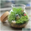 Dekoracje ogrodowe Zachowane suszone naturalne dzikie mchowe mche mchy murawa do majsterkowania mikro krajobraz terrarium roślina bonsai garnek dekoracja y dhf0u