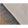 Tapijten dikke pluizige zachte ruige tapijt kunstmatige schapenvacht harige niet -slip vloerkleed lange pluche vloermat voor woonkamer faux bontgebied dr dhkci