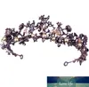 Diademi nuziali da sposa in cristallo viola Copricapo con fascia per capelli Accessori per capelli da sposa con corona da principessa nera