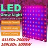 LED Grow Grow Light 2000W 3000W 81 LEDS / 169 LED Phytolamp Full Spectrum 1 모드 스위치 채소 블룸 실내 식물 성장 램프