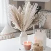 Dekoratif çiçekler 30 adet kurutulmuş pampas çim boho ev dekor gerçek sazlık kabarık kuru diy bohem doğal buket düğün dekorasyon