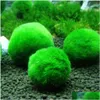 Decorazioni 5Pcs Marimo Moss Ball Acquario Piante Terrario Cladophora Ornamenti per acquari Consegna a goccia Casa Giardino Articoli per animali domestici Aqu Dhjiz