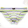 Majaki Stripe Modal Men Bikini Briefs Sexy Bielizna Męskie majtki męskie gejowskie bawełnę