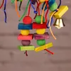 Other Bird Supplies Parrot Colorful Natural Wooden Chew Toys Hanging Swings Toy Climbing Ladder Cage Accessories