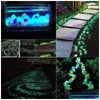 Decorações de jardim 25/50pcs brilham nas pedras escuras de pedras para as passarelas pátio pátio de jardim decor
