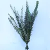 Dekorative Blumen, 10 Stück, natürliche Eukalyptuszweige, Blätter, getrocknete Blumen, Blumenstrauß, Ornament, DIY, Zuhause, Hochzeit, Schießen, Requisiten, Dekoration