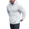 Hoodies masculinos elegantes com capuz de outono de outono, mola grossa, mantenha quente