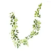 زهور زخرفية جميلة نبات مزيف فو ، زهرة الحرير محاكاة راتان الصديق للبيئة قابلة لإعادة الاستخدام الجدار اللبلاب