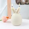 촛불 행복한 부활절 장식 3D Bunnies Eggshell 캔들 실리콘 곰팡이 사일 토끼 모드 제조 동물 석고 케이크 초콜릿 bak8656646