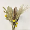 الزهور الزخرفية بامباس العشب النخيل المجفف الطبيعي الأوكالبتوس أوراق إنس إنتر