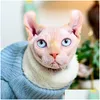 猫のコスチューム秋の冬のスフィンクスの服カシミア暖かいコートを保持するための髪のない古典的な子犬のペット猫犬のセータードロップデリバリーdhnqd