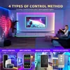 Curtain LED Light Remote Control RGB Symphony Dot Bluetooth Support DIY Programmering Smart Home Decoration Christma