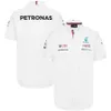 2024 equipe de f1 fórmula um polo masculino verão petro racing auto camisa lapela motorsport secagem rápida respirável casual camiseta