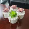 Decoratieve bloemen Modern Home Decor Artificial Decoration Mini Bonsai Office Succulenten Garden ornamenten planten