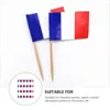 Garden Decorations 200pcs World Country Stick Flags Picks Party Decoration Celebration French Flag Toothpick Miniature