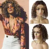 Curly Highlight t del Bob Wig Human Hair Short Water Wave Spets Front Glueless Pre Plucked With Baby For Women