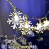 Saiten LED-Schneeflocken-Lampenschnur, Hochzeit, Urlaub, Arrangement, kleine Laternen, blinkende Lichter, Mädchenherz, Zimmerdekoration