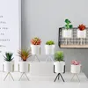 Decoratieve bloemen Modern Home Decor Artificial Decoration Mini Bonsai Office Succulenten Garden ornamenten planten