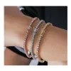 Bracelets de mariage M Cz Diamond Bangle Bijoux classiques Hip Hop Tennies Bracelet 18 carats en or blanc remplir trois couleurs fête de haute qualité Dhvec