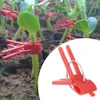 Garden Supplies Plastic Grafting Clip Plant Support Flower Connector Trellis Vine Fixing Clips for Vegetables Watermelon XBJK2301