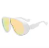 Lunettes de soleil de Ski lunettes d'hiver lunettes de soleil hommes femmes plein cadre Uv400 lunettes de soleil 233R