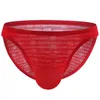 Underpants Sexy Transparent Underwear Men's Briefs Soft Panties Bikini Male Lingerie