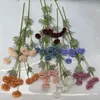 Fiori decorativi Piante artificiali Pasta di fagioli Prajna Palline di crisantemo a mille strati Decorare il giardino domestico