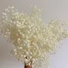Decorative Flowers Pure White Flore Natural Dried Flower Real Home Furnishing Living Room Decoration Christmas Decor Bouquet