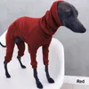 Hundkläder Solid Four-Bent Rib Clothes Turtleneck Pet tröja för Whippet Italian Greyhound Winter Pullover Jumpsuit Big Dogs