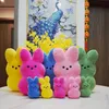 Party Favor 38cm 15cm Peeps Plush Bunny Rabbit Peep Easter Toys Simulation fylld Animal Doll f￶r barn barn mjuk kudde g￥vor flicka leksak 0106