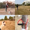 Hondenkragen 1,5 m/2 m/3 m/5 m/10m lange nylonriem voor grote honden Pet Puppy Walking Training Lood touw Medium Grote buitenriem