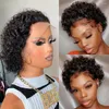 Pixie Cut Short Bob Curly Wigs Glueless Lace Front Wholesale Virgin Brazilian Remy Wig Human Hair Natural